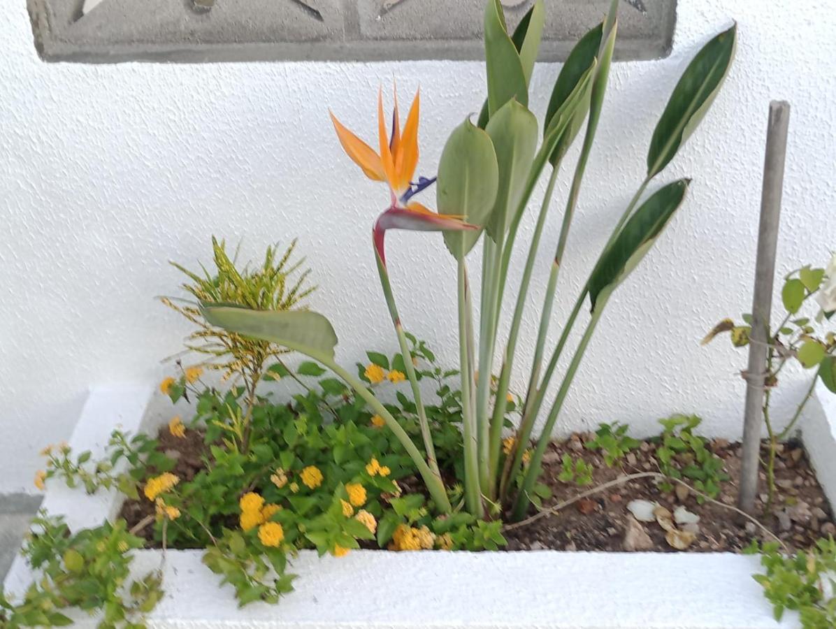 Chalés Recanto das Flores RN Monte das Gameleiras Extérieur photo